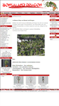 Mobile Screenshot of bonsai-and-dragon.de
